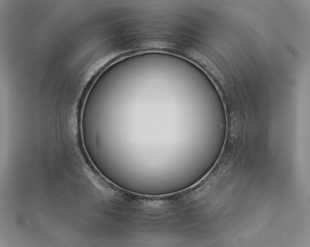 X0000112871031200909041617