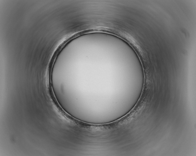 X0000112871032200909041617