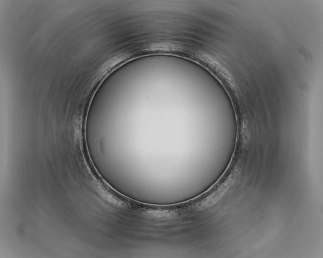 X0000112871033200909041617