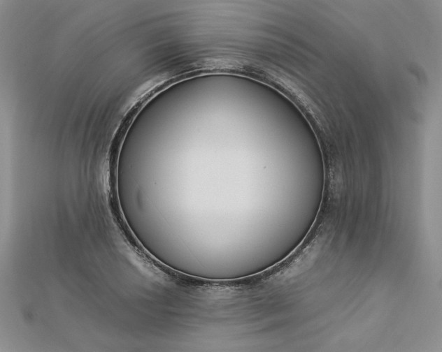 X0000112871034200909041617