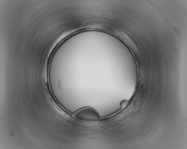 X0000112871036200909041617