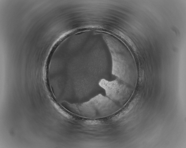 X0000112871037200909041617