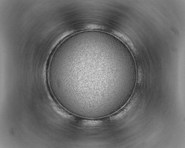 X0000112871039200909041617