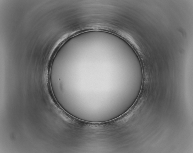 X0000112871040200909041617