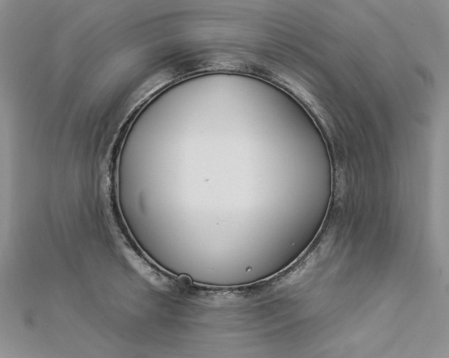 X0000112871042200909041617