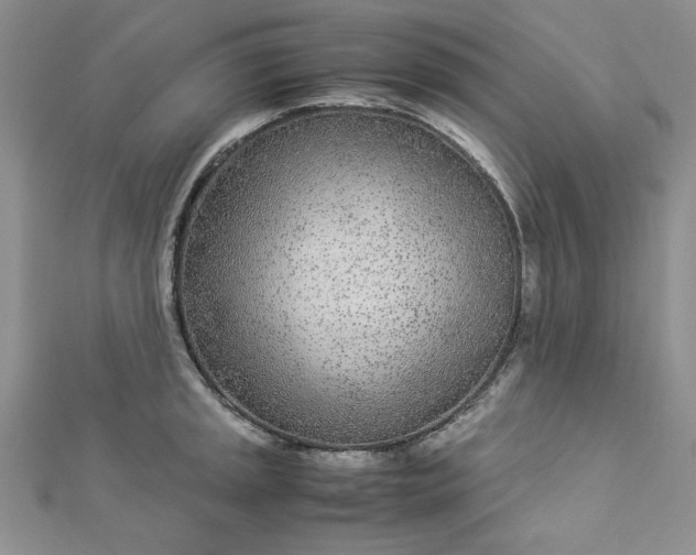 X0000112871045200909041617