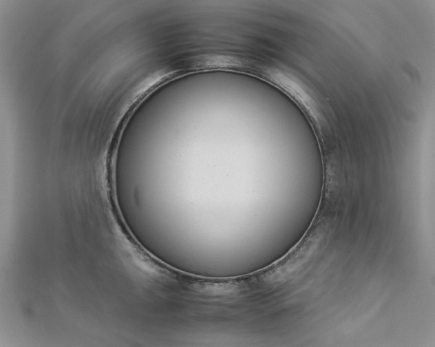 X0000112871047200909041617