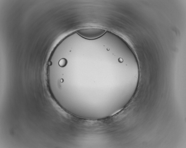 X0000112871056200909041617