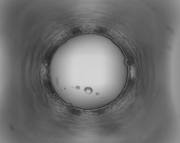 X0000112871059200909041617