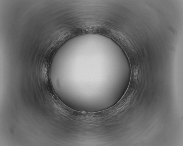 X0000112871060200909041617