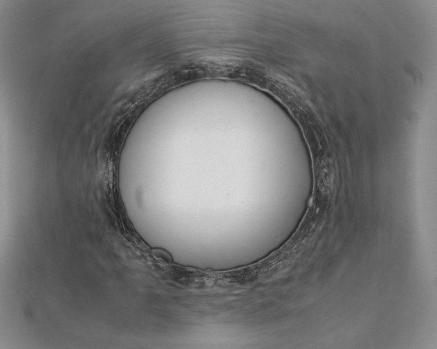 X0000112871061200909041617