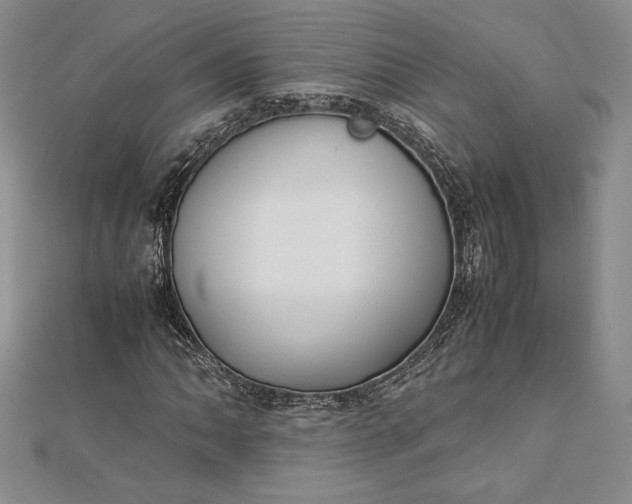 X0000112871062200909041617