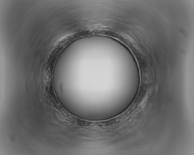 X0000112871063200909041617