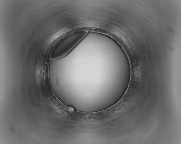 X0000112871064200909041617