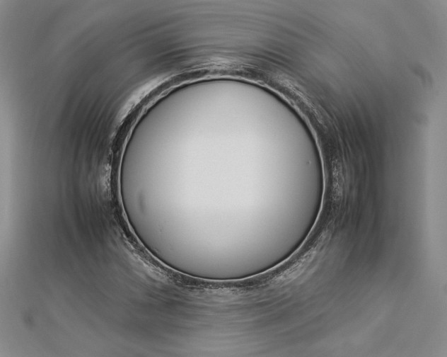 X0000112871066200909041617