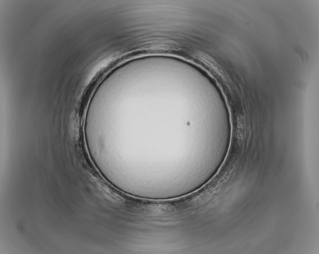 X0000112871067200909041617