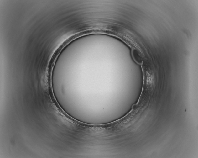 X0000112871068200909041617