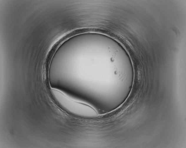 X0000112871069200909041617