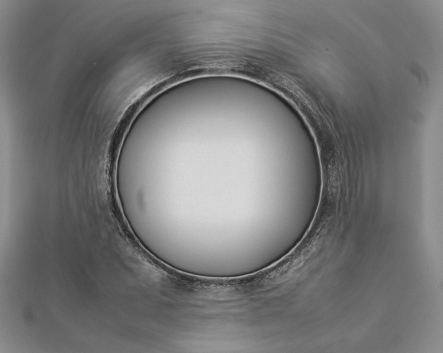 X0000112871071200909041617