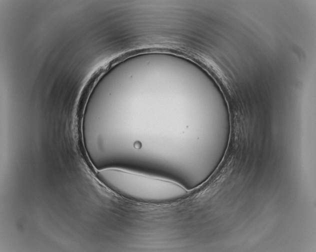 X0000112871072200909041617