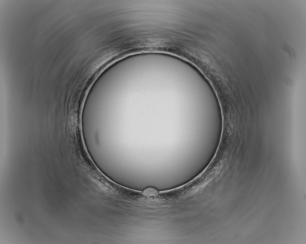 X0000112871073200909041616