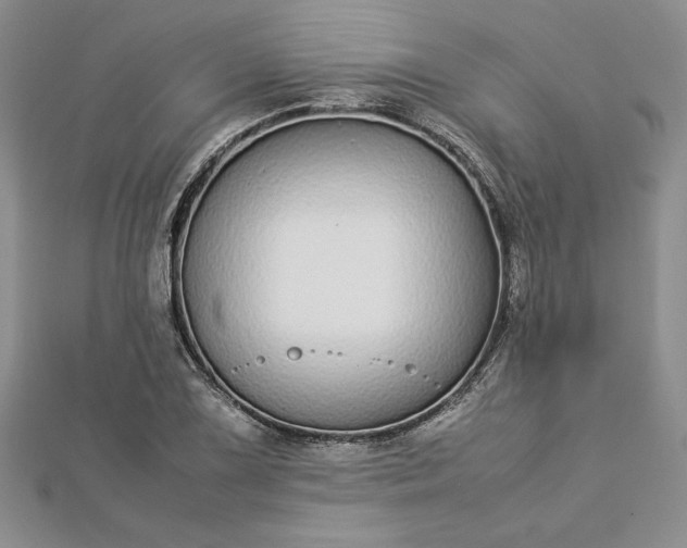 X0000112871075200909041616