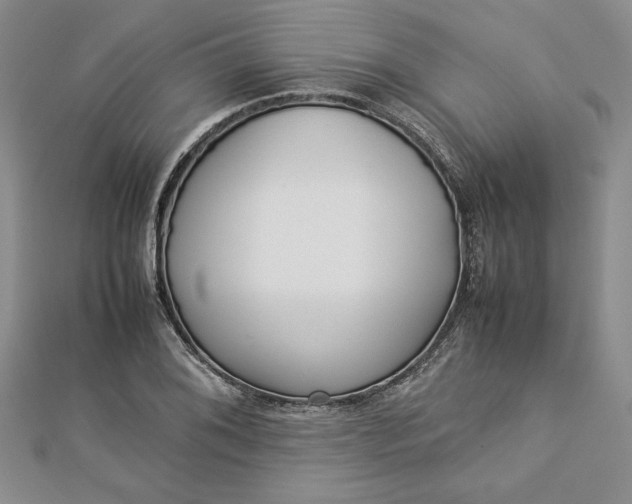 X0000112871076200909041616