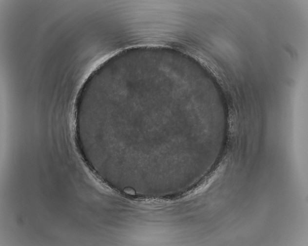 X0000112871077200909041616