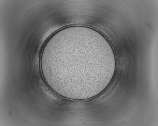 X0000112871078200909041616