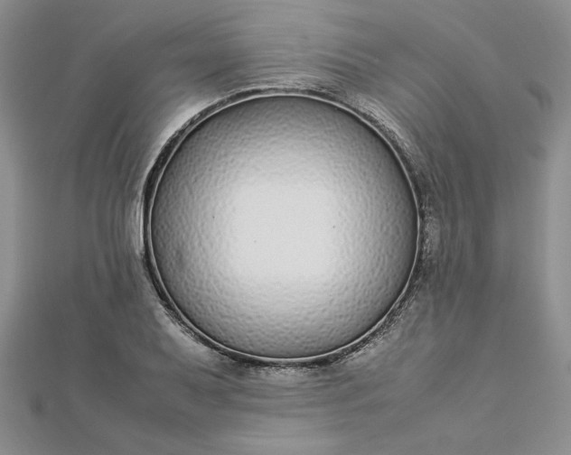 X0000112871079200909041616