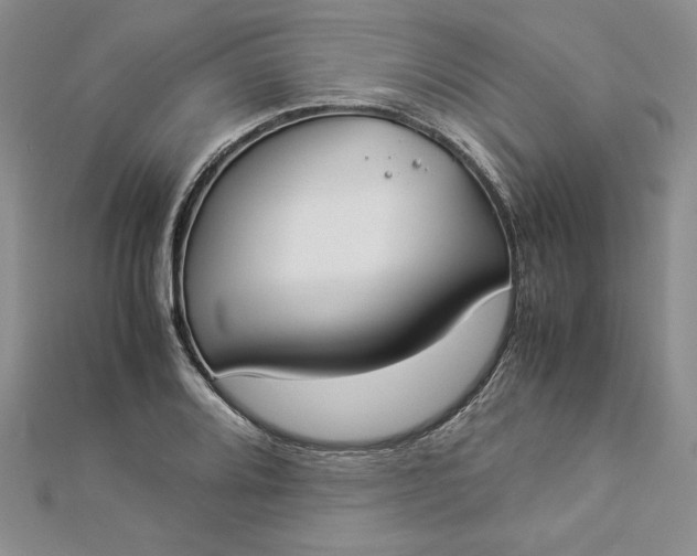 X0000112871080200909041616