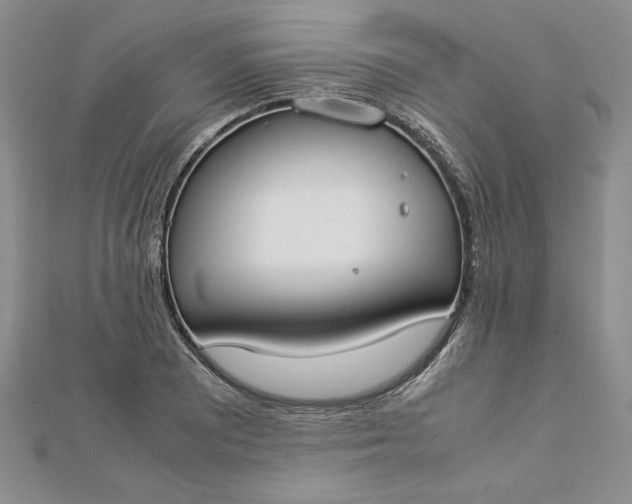 X0000112871081200909041616