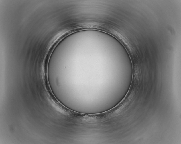 X0000112871082200909041616