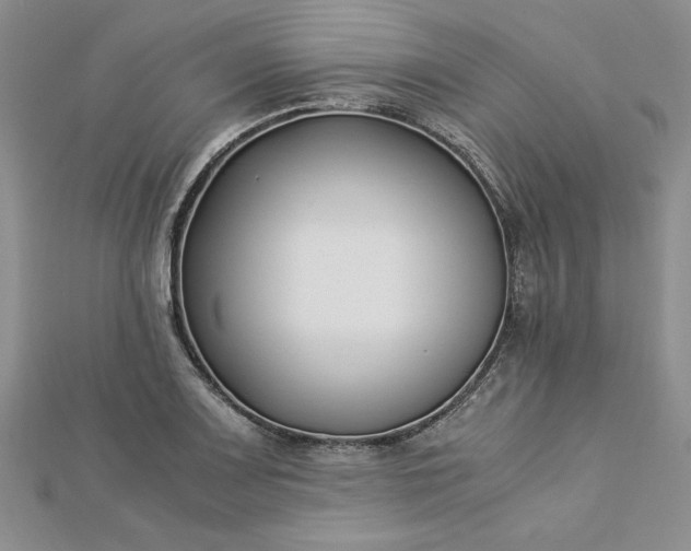 X0000112871083200909041616