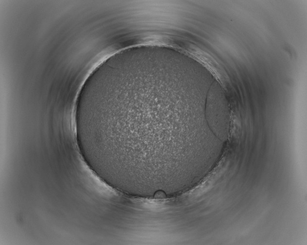 X0000112871084200909041616