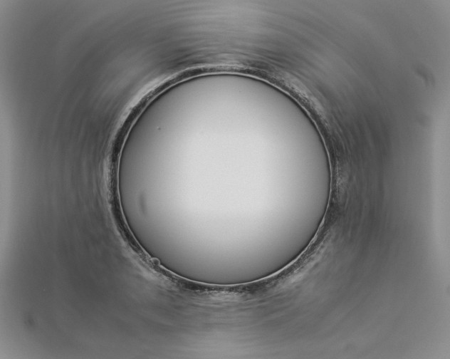 X0000112871085200909041616