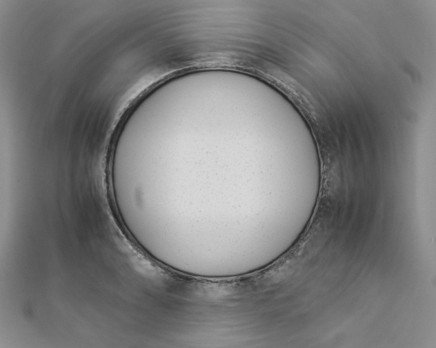 X0000112871086200909041616