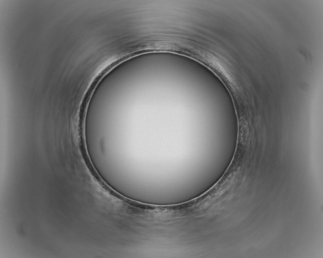 X0000112871087200909041616