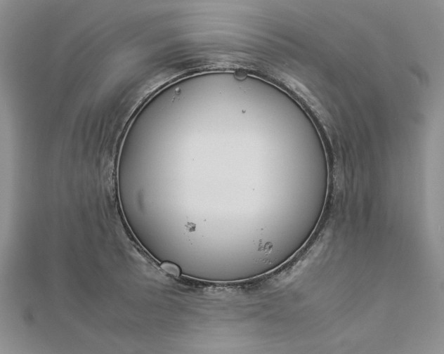 X0000112871089200909041616