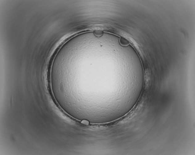 X0000112871091200909041616