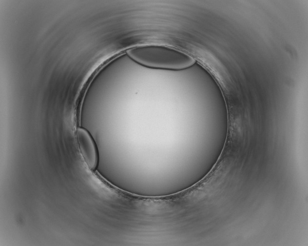 X0000112871092200909041616