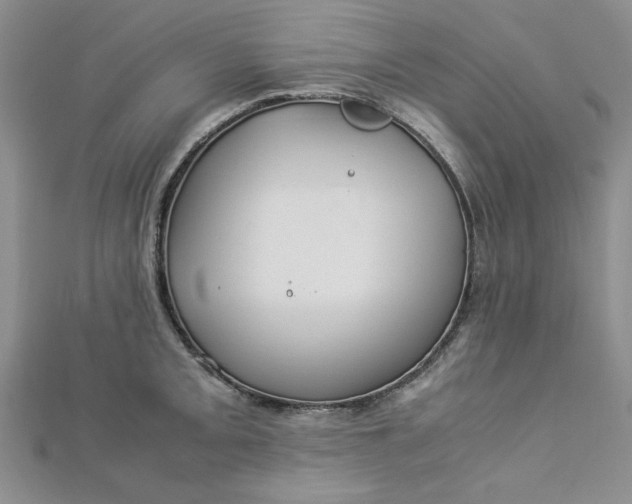 X0000112871093200909041616