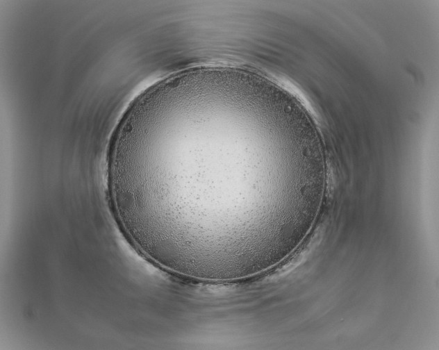 X0000112871095200909041616