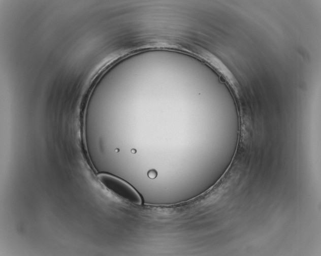 X0000112871096200909041616