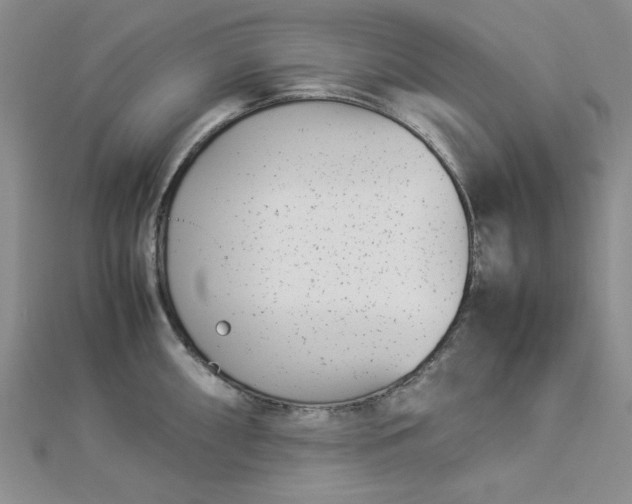 X0000112871098200909041616