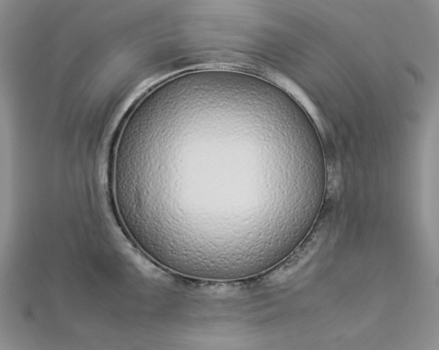 X0000112871099200909041616