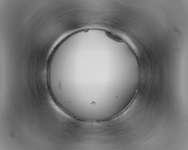 X0000112871100200909041616