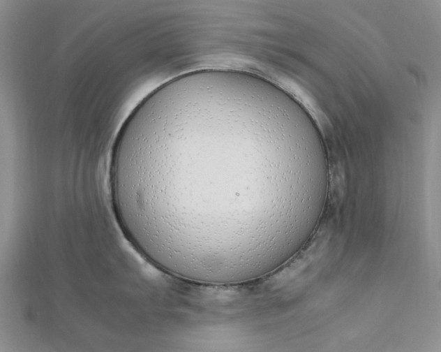 X0000112871103200909041616