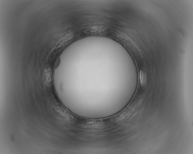 X0000112871107200909041616