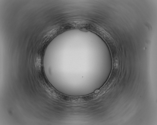 X0000112871108200909041616